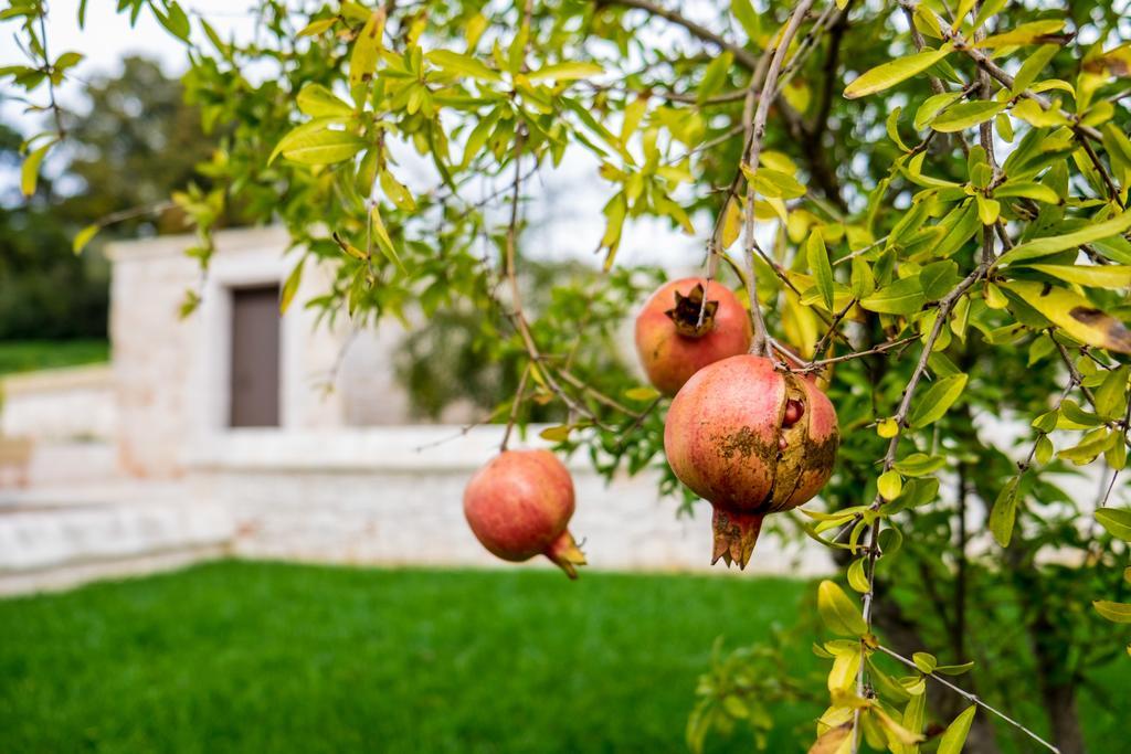 Masseria Paretano Villa Алберобело Екстериор снимка